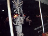 photos 2000-200901494